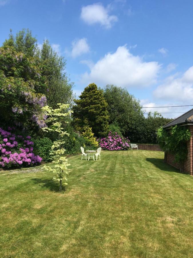 Oak Tree Cottage, Charming, Rural New Forest Home Boldre Exterior foto